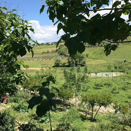 וילה Blue דורס