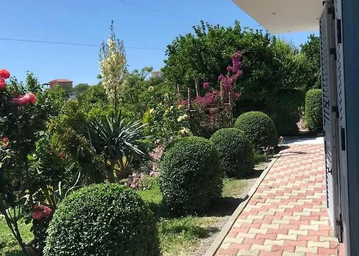 فيلة Blue دراس