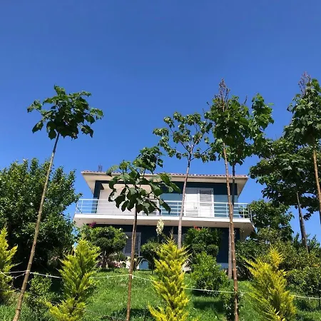 Villa Blue